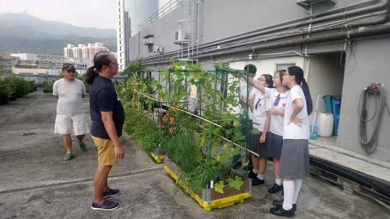 《衣食住行點點綠•都市發展可持續》訪問相片集︰荃灣「都市農莊」